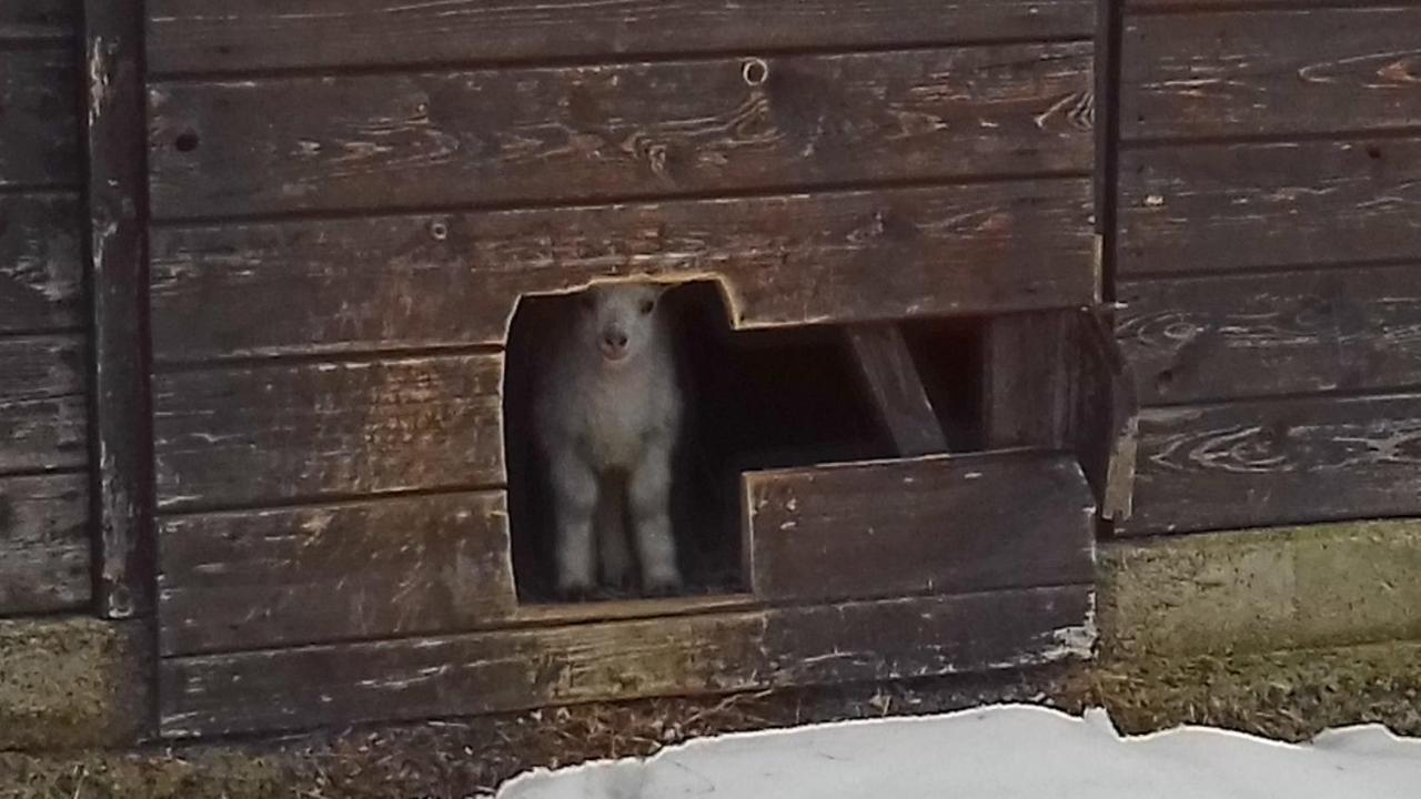 Poggio A Poppi Βίλα Εξωτερικό φωτογραφία
